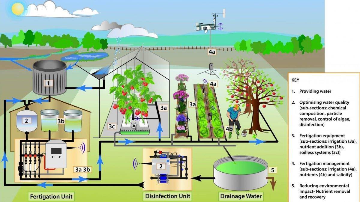 Fertirrigacion-Biblia-2|20181004_172754|FERTINNOWA-RODNEYTHOMPSON-300x200|Fertinnowa 1|Fertinnowa-3|Fertinnowa-4|Campillo-Cycitex-2|Fertinnowa-NGS-lechugas|Fertinnowa-Grupo-Aguilas